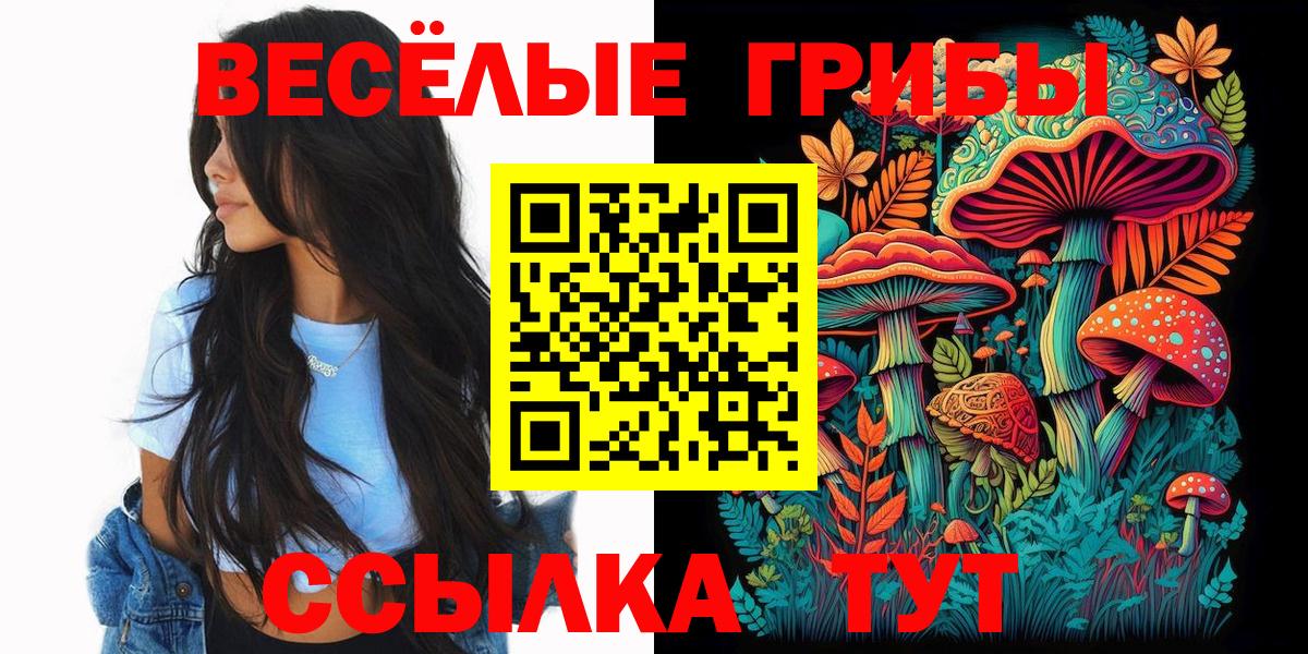 Тельмана  Псилоцибиновые грибы Psilocybe  Вход с VPN 